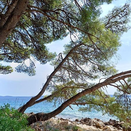 Apartments Jaksic Trogir Dış mekan fotoğraf