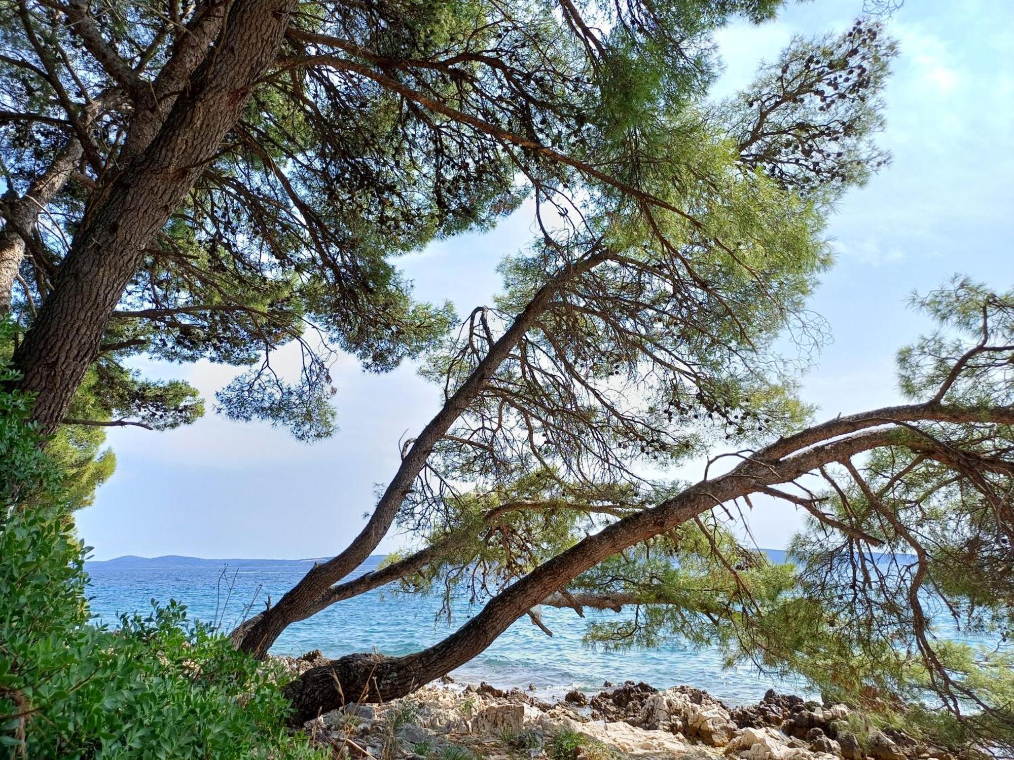Apartments Jaksic Trogir Dış mekan fotoğraf