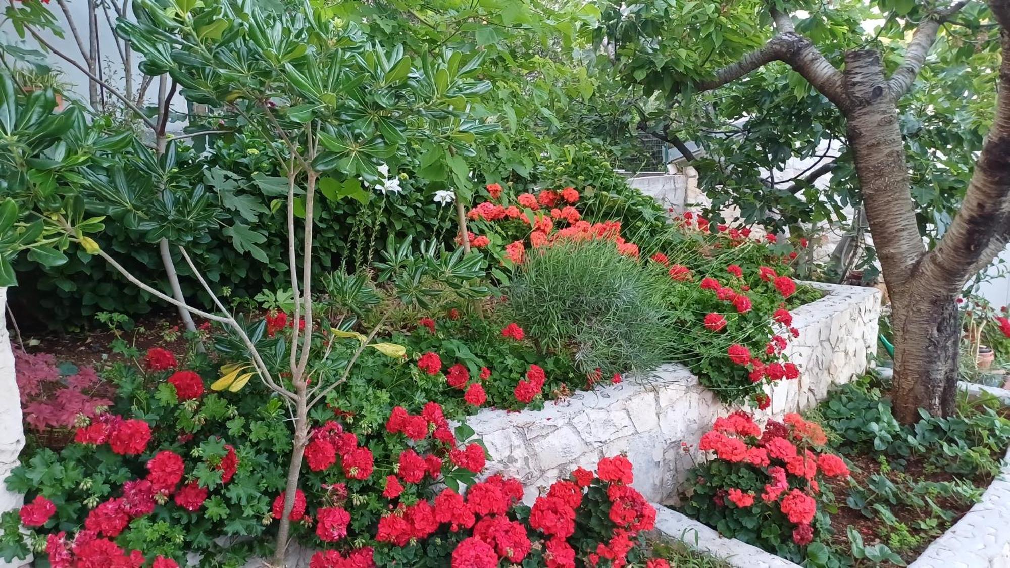 Apartments Jaksic Trogir Dış mekan fotoğraf